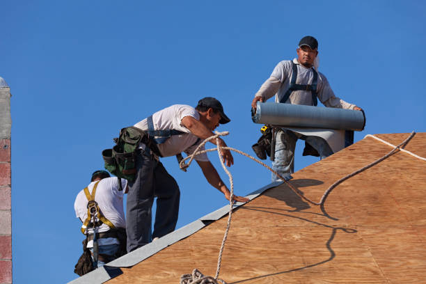 Professional Roofing Contractor in Colleyville, TX